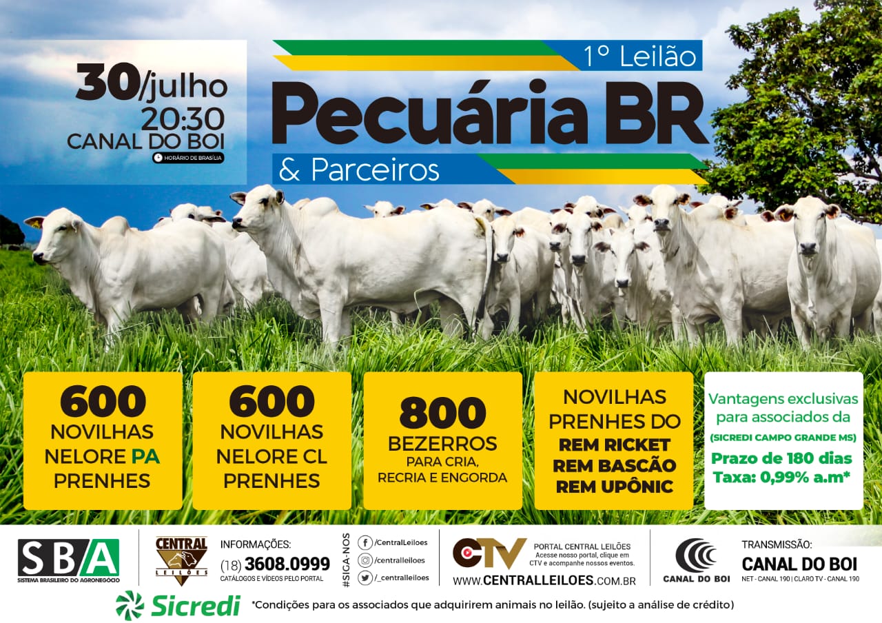 Canal do Boi transmite 1º Leilão Pecuária BR & Parceiros